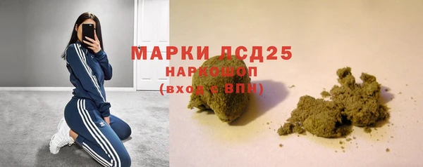 стаф Протвино