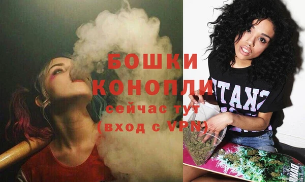 стаф Протвино