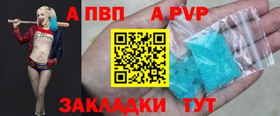 индика Дубна