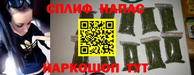 индика Дубна