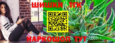индика Дубна