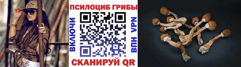 Псилоцибиновые грибы GOLDEN TEACHER Ухта