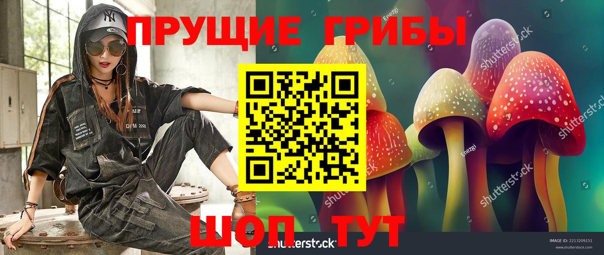 Ухта  Псилоцибиновые грибы мухоморы  хочу наркоту  Вход с VPN 