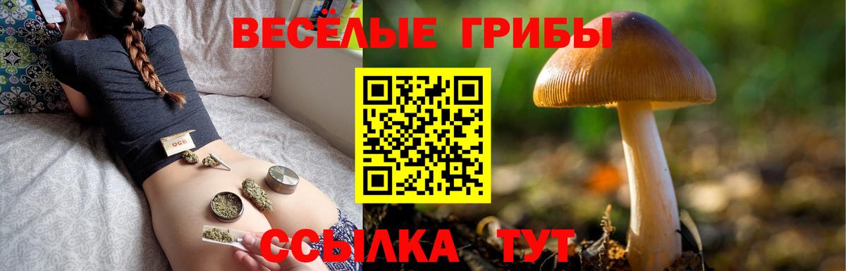 Галлюциногенные грибы GOLDEN TEACHER Ухта